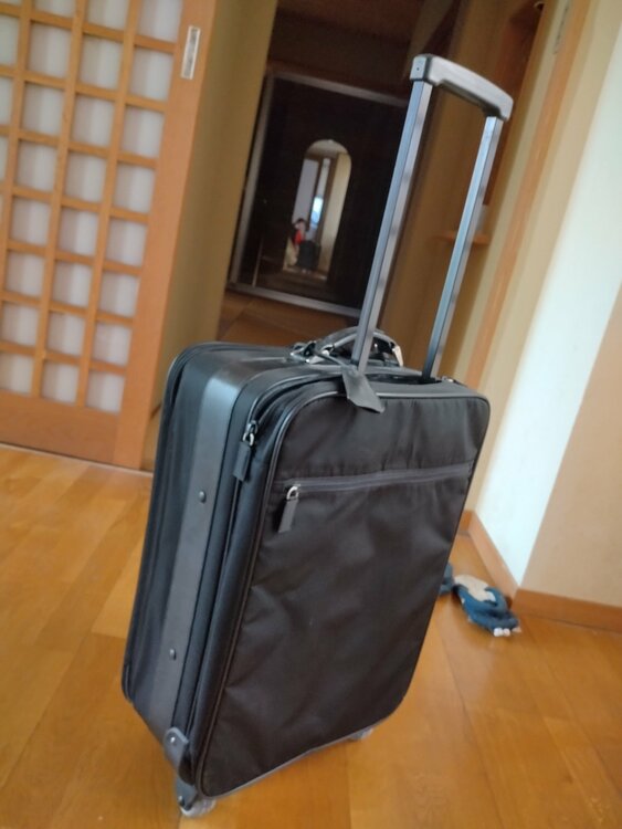 プラダ  （ブランドバッグ）の商品画像 - 査定依頼日：2026年3月22日 - 最高査定価格：32,000円