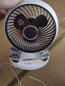 サーキュレーター（古着・ファッション）の商品画像 - 査定依頼日：2026年7月9日 - 最高査定価格：100,000円