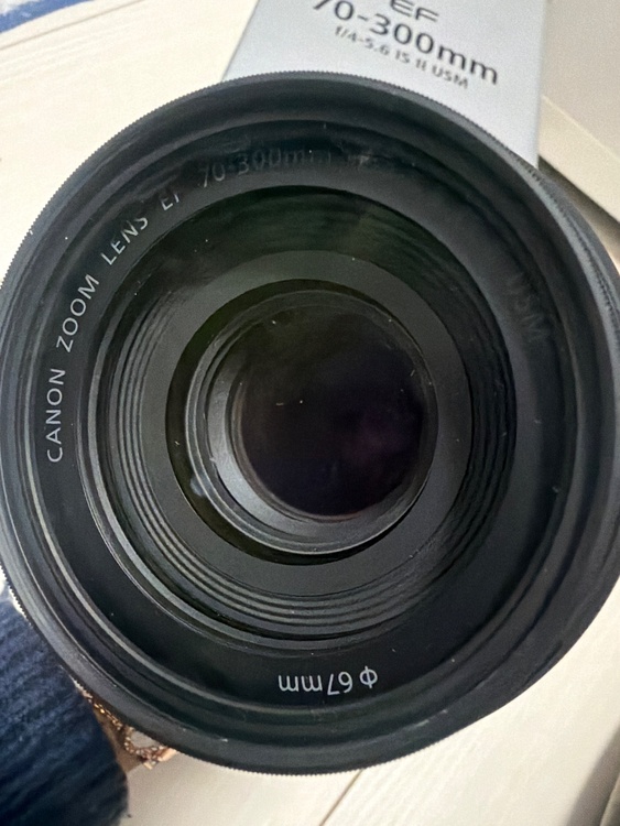 EF 70-300mm（カメラ）の商品画像 - 査定依頼日：2025年12月26日 - 最高査定価格：35,000円