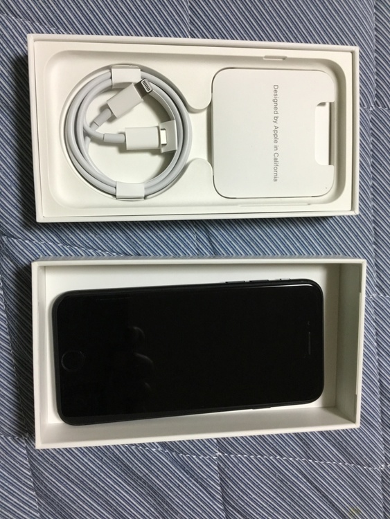 iPhone iPhone SE (第 3 世代) 64GB SIMフリー（スマホ）の商品画像 - 査定依頼日：2026年8月11日 - 最高査定価格：14,000円