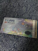 JCBナイスギフトカード（チケット・金券）の商品画像 - 査定依頼日：2026年3月25日 - 最高査定価格：850円