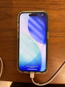 iPhone iPhone 15 Pro 256GB SIMフリー（スマホ）の商品画像 - 査定依頼日：2026年9月20日 - 最高査定価格：84,000円