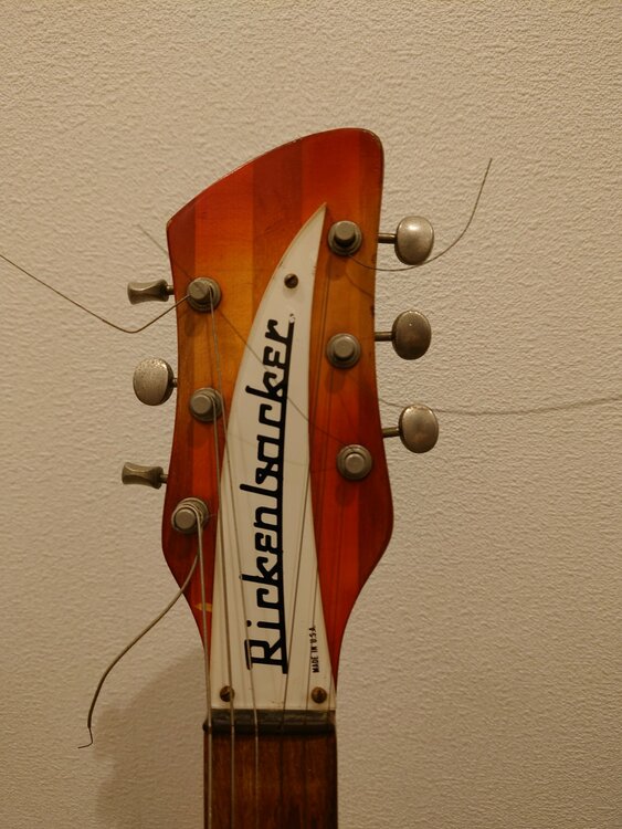 リッケンバッカー　1966年製（ピアノ・楽器・PA機材）の商品画像 - 査定依頼日：2026年4月14日 - 最高査定価格：350,000円