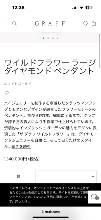 グラフ ワイルドフラワー ダイヤモンド ラージ　ネックレス（宝石）の商品画像 - 査定依頼日：2023年5月31日 - 最高査定価格：600,000円