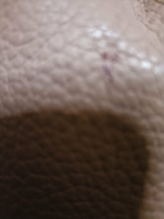 ルイヴィトン ダミエ （ブランドバッグ）の商品画像 - 査定依頼日：2026年2月1日 - 最高査定価格：150,000円