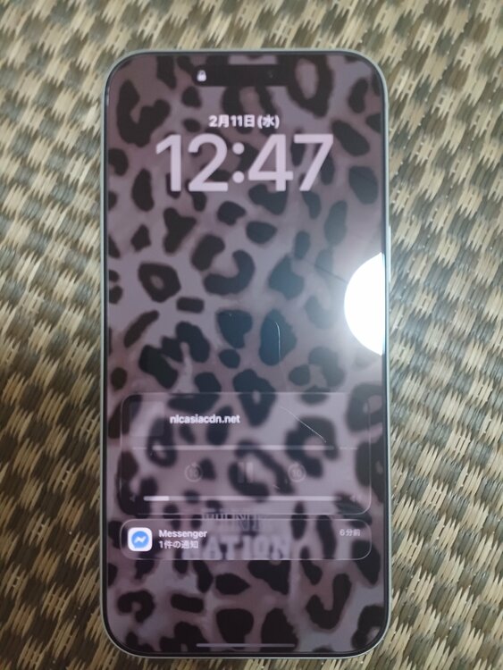 iPhone 17 Pro Max 256GB docomo（スマホ）の商品画像 - 査定依頼日：2026年2月11日 - 最高査定価格：164,000円