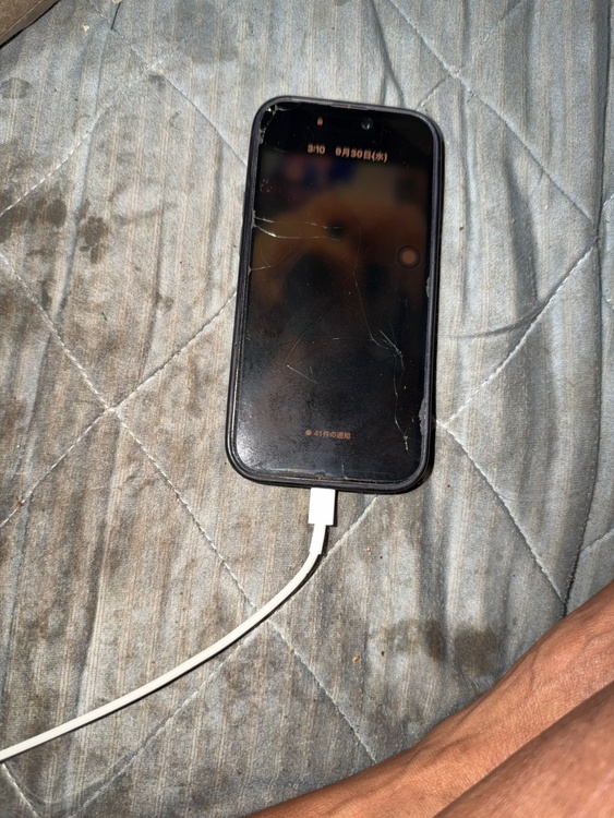 iPhone iPhone 14 Pro 1TB SIMフリー（スマホ）の商品画像 - 査定依頼日：2026年9月30日 - 最高査定価格：73,000円