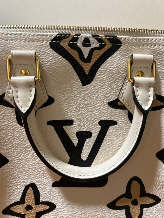 ルイヴィトン スピーディー （ブランドバッグ）の商品画像 - 査定依頼日：2025年12月24日 - 最高査定価格：250,000円