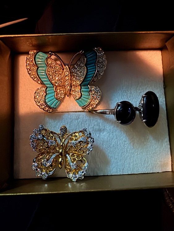 ブローチ（宝石）の商品画像 - 査定依頼日：2025年7月6日 - 最高査定価格：250,000円