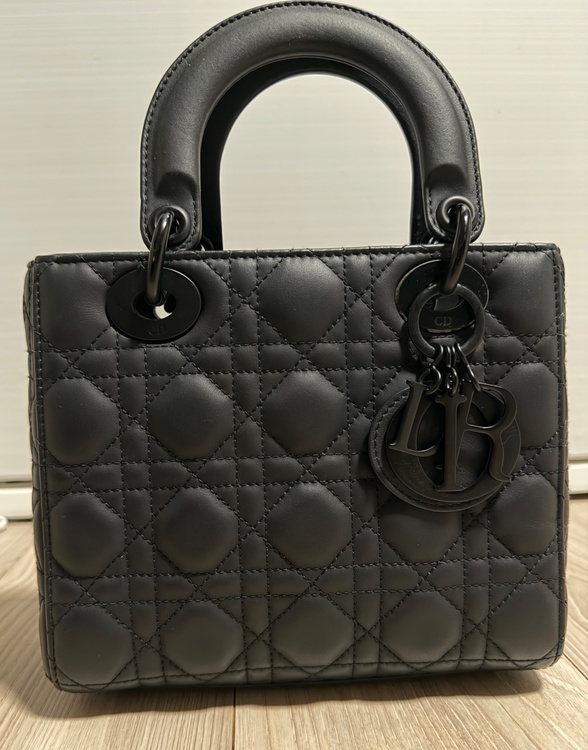 レディディオール（ブランドバッグ）の商品画像 - 査定依頼日：2026年4月4日 - 最高査定価格：390,000円