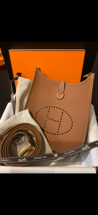 エブリンTPM（ブランドバッグ）の商品画像 - 査定依頼日：2026年2月19日 - 最高査定価格：320,000円