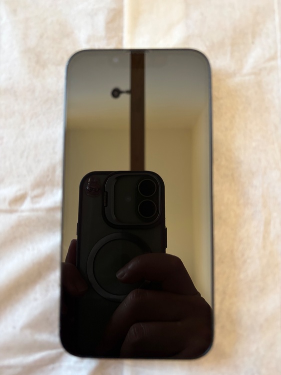 iPhone 13 mini 256GB SIMフリー（スマホ）の商品画像 - 査定依頼日：2026年5月10日 - 最高査定価格：30,000円