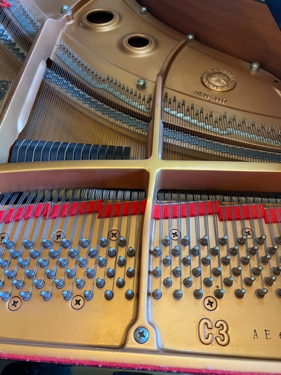 C3AE6004374（ピアノ・楽器・PA機材）の商品画像 - 査定依頼日：2025年11月29日 - 最高査定価格：3,000円