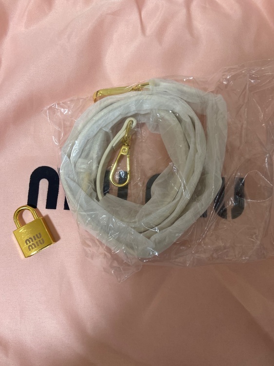 ミュウミュウ  （ブランドバッグ）の商品画像 - 査定依頼日：2025年6月17日 - 最高査定価格：100,000円