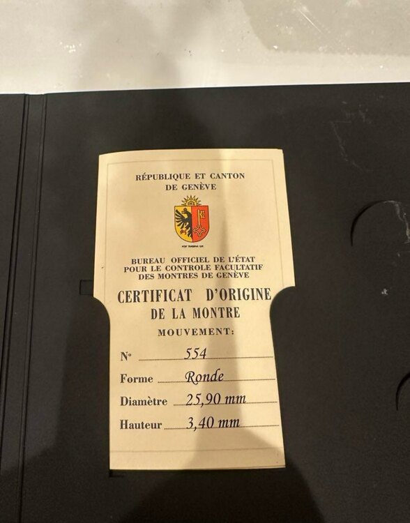 ロジェ・デュブイ その他 （高級時計）の商品画像 - 査定依頼日：2025年5月20日 - 最高査定価格：750,000円