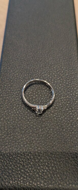 プラチナ　指輪（金・貴金属）の商品画像 - 査定依頼日：2026年2月26日 - 最高査定価格：14,000円