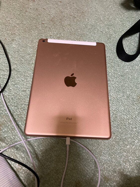 第6世代 WiFi＋Cellular 32GB（PC・タブレット）の商品画像 - 査定依頼日：2025年5月14日 - 最高査定価格：6,000円