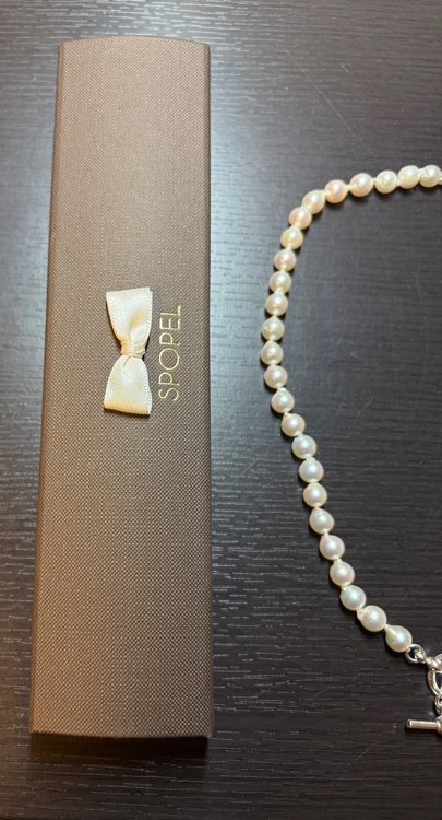 SPOPEL DODY-P SV×Akoya necklace（宝石）の商品画像 - 査定依頼日：2026年3月21日 - 最高査定価格：100,000円