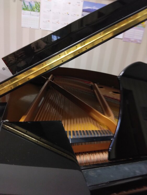 C1L 5911342（ピアノ・楽器・PA機材）の商品画像 - 査定依頼日：2026年1月28日 - 最高査定価格：50,000円