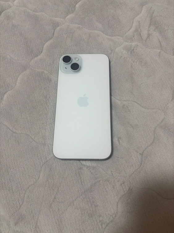 iPhone iPhone 15 Plus 256GB docomo（スマホ）の商品画像 - 査定依頼日：2026年7月27日 - 最高査定価格：80,000円