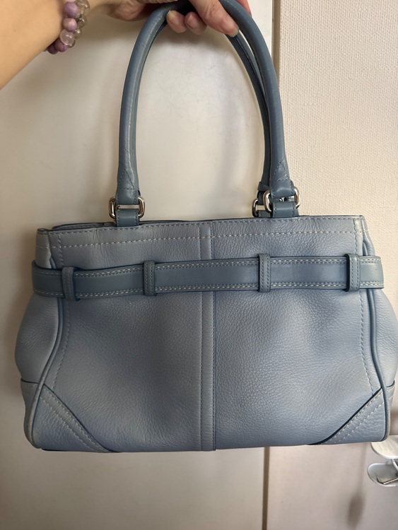 分かりません（ブランドバッグ）の商品画像 - 査定依頼日：2025年6月29日 - 最高査定価格：3,000円