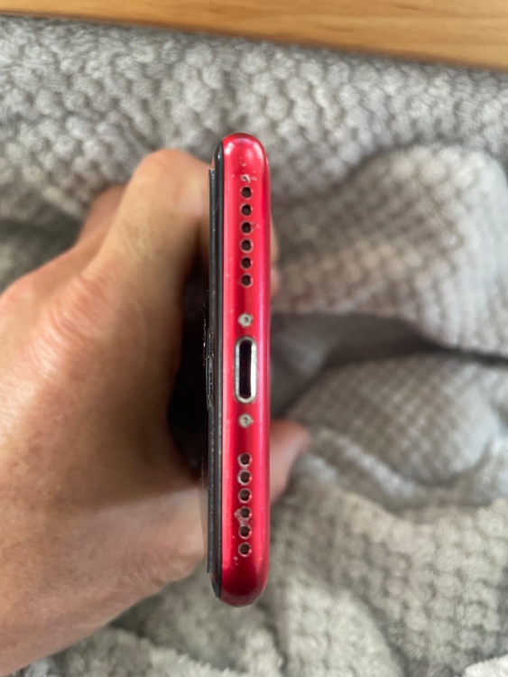 iPhone se 3（スマホ）の商品画像 - 査定依頼日：2026年3月15日 - 最高査定価格：24,000円