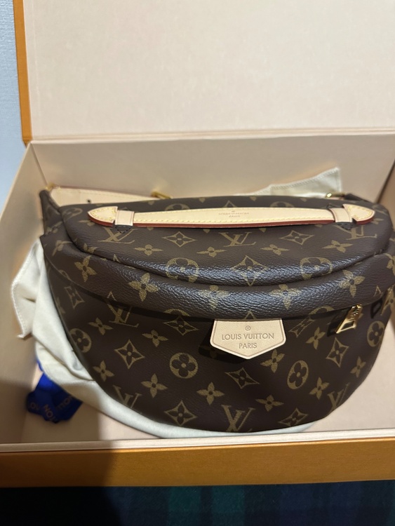 バムバッグ（ブランドバッグ）の商品画像 - 査定依頼日：2026年1月24日 - 最高査定価格：260,000円