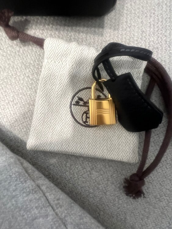 25（ブランドバッグ）の商品画像 - 査定依頼日：2025年1月21日 - 最高査定価格：3,200,000円