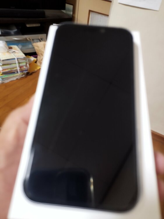 iPhone iPhone 15 128GB SIMフリー（スマホ）の商品画像 - 査定依頼日：2026年6月9日 - 最高査定価格：53,000円