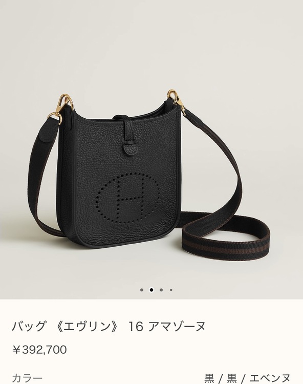 エヴリン16 アマゾーヌ（ブランドバッグ）の商品画像 - 査定依頼日：2026年3月3日 - 最高査定価格：400,000円