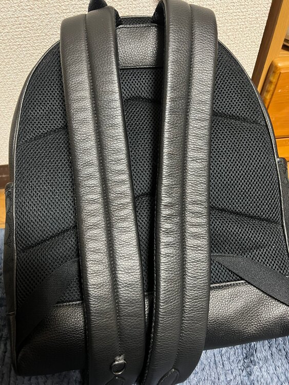 その他 コーチ （ブランドバッグ）の商品画像 - 査定依頼日：2025年4月1日 - 最高査定価格：10,000円