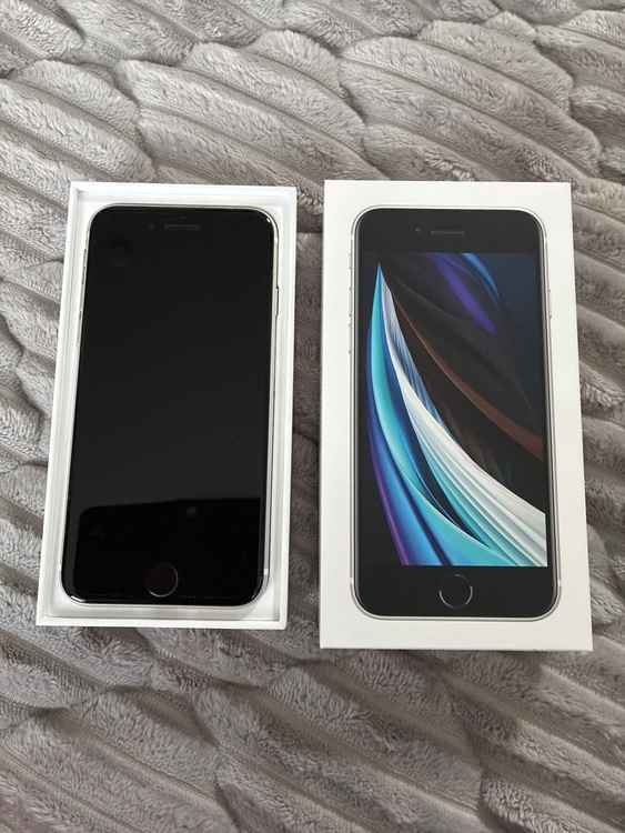 iPhone iPhone SE (第 2 世代) 64GB SIMフリー（スマホ）の商品画像 - 査定依頼日：2026年6月18日 - 最高査定価格：6,000円