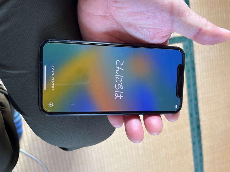 iPhoneX 256GB SIMフリー（スマホ）の商品画像 - 査定依頼日：2026年3月29日 - 最高査定価格：7,500円