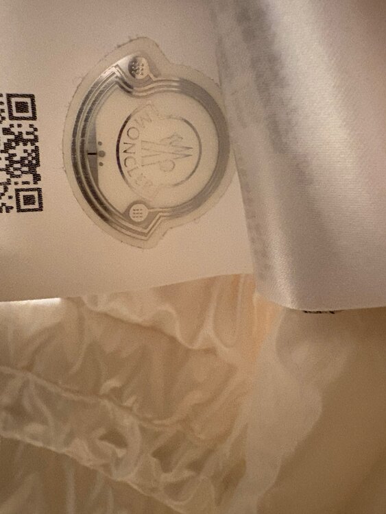 ダウン、ダウンベスト（古着・ファッション）の商品画像 - 査定依頼日：2025年2月2日 - 最高査定価格：25,000円