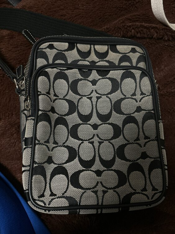 その他 コーチ （ブランドバッグ）の商品画像 - 査定依頼日：2025年3月4日 - 最高査定価格：5,000円