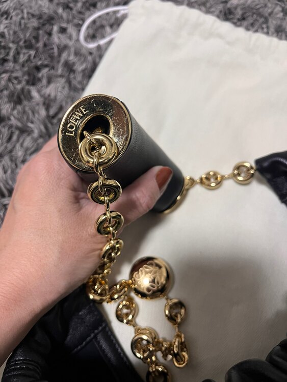 ロエベ  スクイーズ（ブランドバッグ）の商品画像 - 査定依頼日：2024年12月30日 - 最高査定価格：310,000円