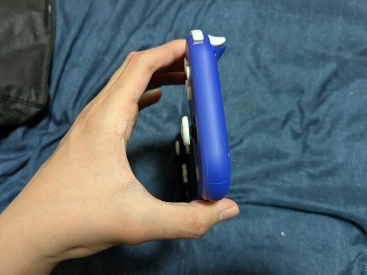 Nintendo Switch light（ゲーム機本体・ゲームソフト）の商品画像 - 査定依頼日：2025年6月14日 - 最高査定価格：7,000円