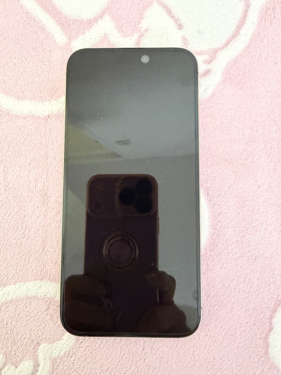 iPhone iPhone 15 Pro Max 256GB SIMフリー（スマホ）の商品画像 - 査定依頼日：2026年9月29日 - 最高査定価格：106,000円