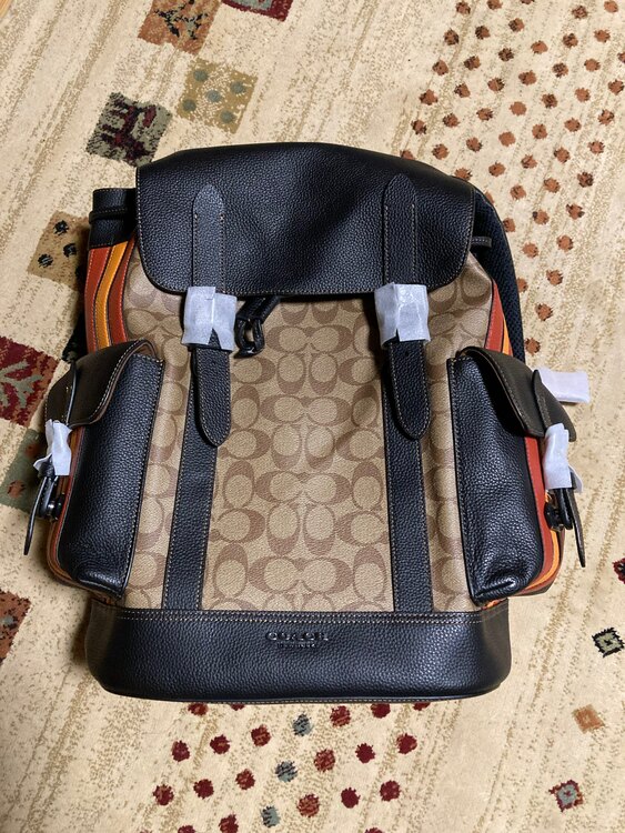 coachリュックバッグハドソン　　CB902（ブランドバッグ）の商品画像 - 査定依頼日：2025年3月31日 - 最高査定価格：20,000円