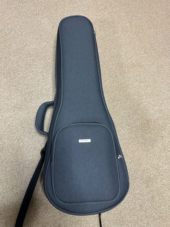 Kanilea KCS C Premium 2010（ピアノ・楽器・PA機材）の商品画像 - 査定依頼日：2026年7月6日 - 最高査定価格：100,000円