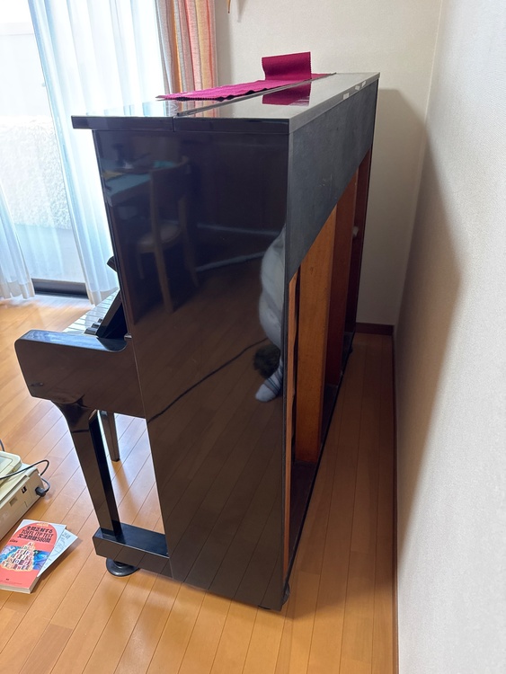 U1A（ピアノ・楽器・PA機材）の商品画像 - 査定依頼日：2026年6月13日 - 最高査定価格：30,000円