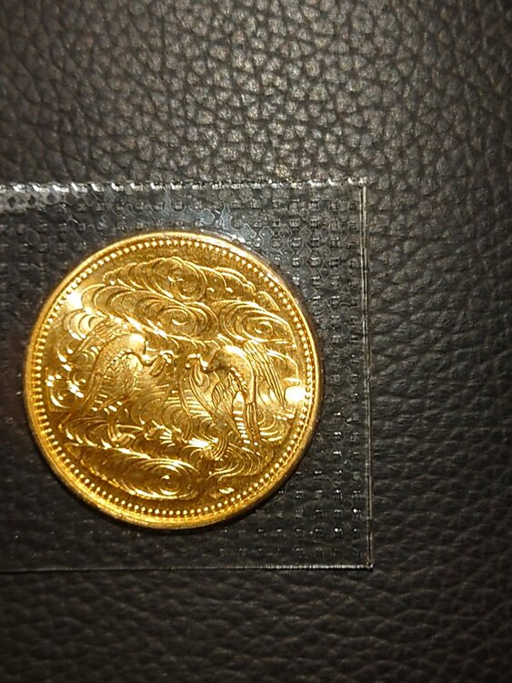 天皇陛下即位60年10万円金貨（金・貴金属）の商品画像 - 査定依頼日：2026年8月17日 - 最高査定価格：430,000円