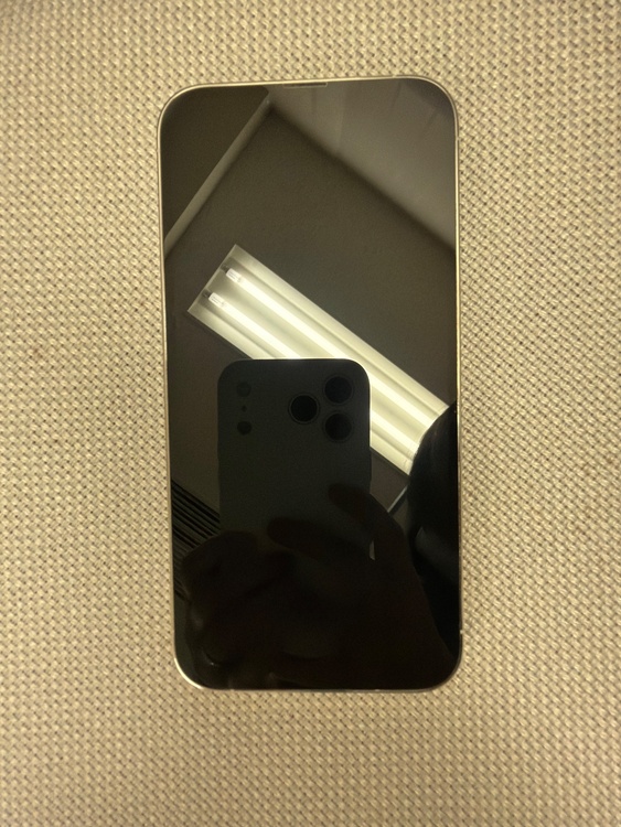 iPhone 13 Pro Max 256GB Softbank（スマホ）の商品画像 - 査定依頼日：2026年3月30日 - 最高査定価格：100,000円