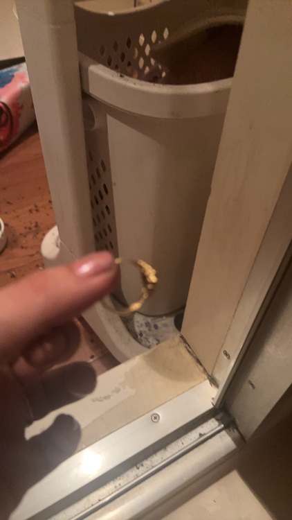 サファイアの指輪（金・貴金属）の商品画像 - 査定依頼日：2025年6月27日 - 最高査定価格：30,000円