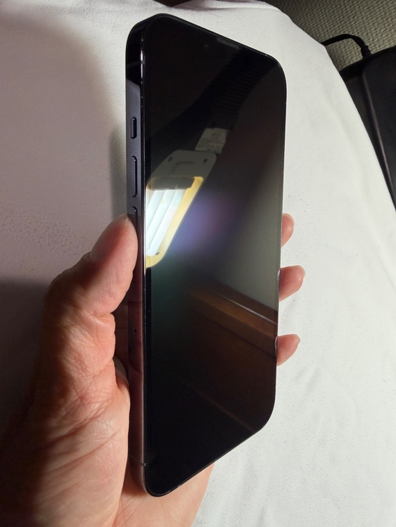 iPhone 13 Pro 512GB SIMフリー（スマホ）の商品画像 - 査定依頼日：2026年4月12日 - 最高査定価格：45,000円