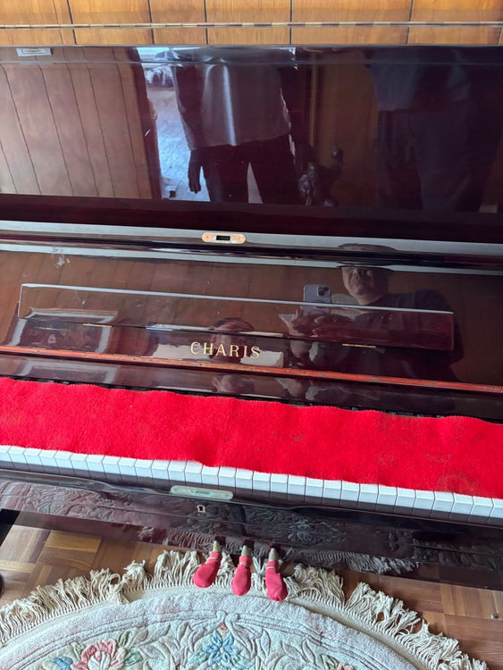 AH-23（ピアノ・楽器・PA機材）の商品画像 - 査定依頼日：2025年9月25日 - 最高査定価格：3,000円