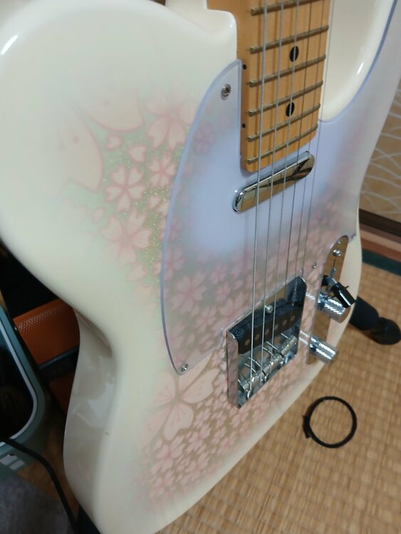 Tokai ate 100M サクラ柄（ピアノ・楽器・PA機材）の商品画像 - 査定依頼日：2025年12月21日 - 最高査定価格：60,000円