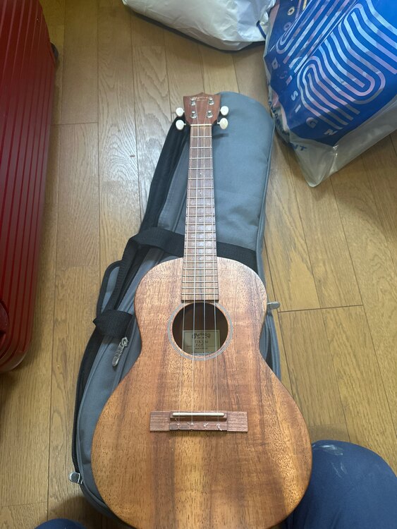 マーチンウクレレ TIK UKE（ピアノ・楽器・PA機材）の商品画像 - 査定依頼日：2025年4月14日 - 最高査定価格：30,000円