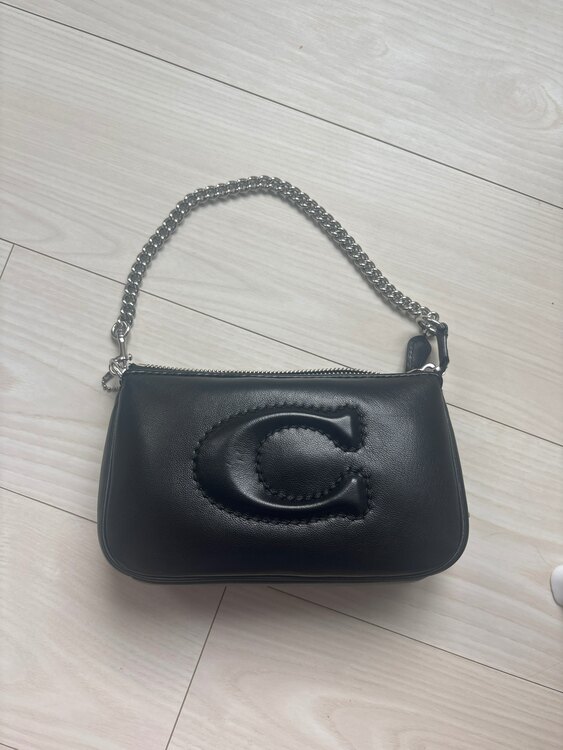 その他 コーチ （ブランドバッグ）の商品画像 - 査定依頼日：2025年3月28日 - 最高査定価格：3,000円