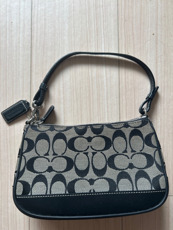 SIG DEMI POUCH（ブランドバッグ）の商品画像 - 査定依頼日：2025年9月27日 - 最高査定価格：3,500円